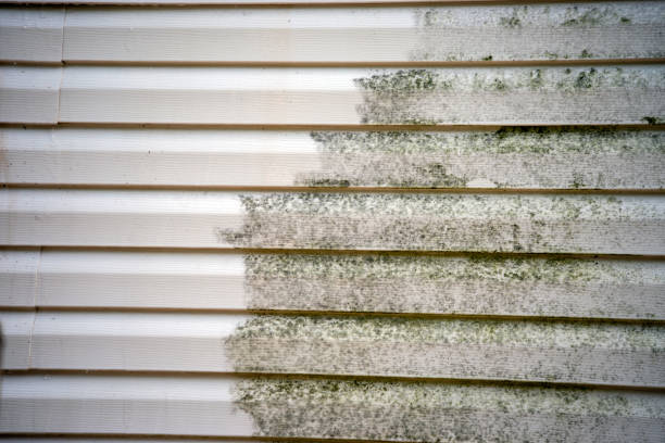 Best Shed Removal  in Marks, MS